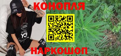 кокс Гатчина