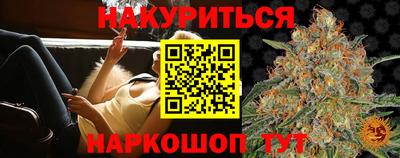 кокс Гатчина