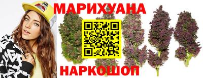 кокс Гатчина