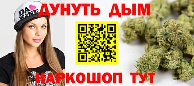 кокс Гатчина