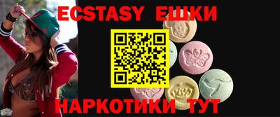 кокс Гатчина