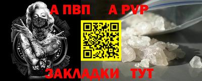 кокс Гатчина