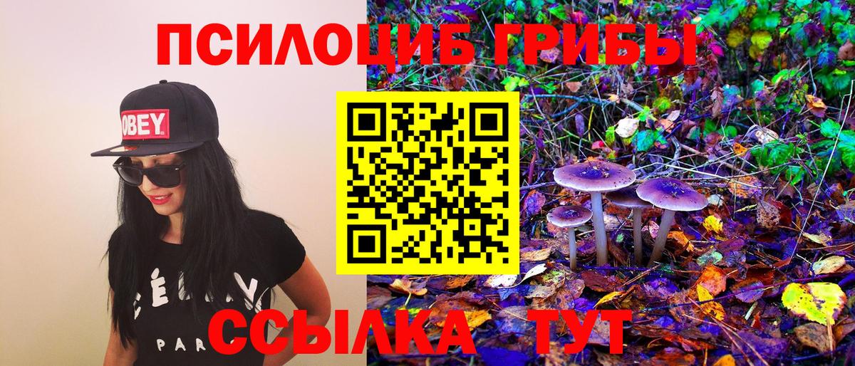 Можга  Галлюциногенные грибы мицелий  Вход с VPN  Галлюциногенные грибы MAGIC MUSHROOMS 